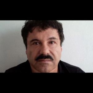 Meet your Posher, Dakota